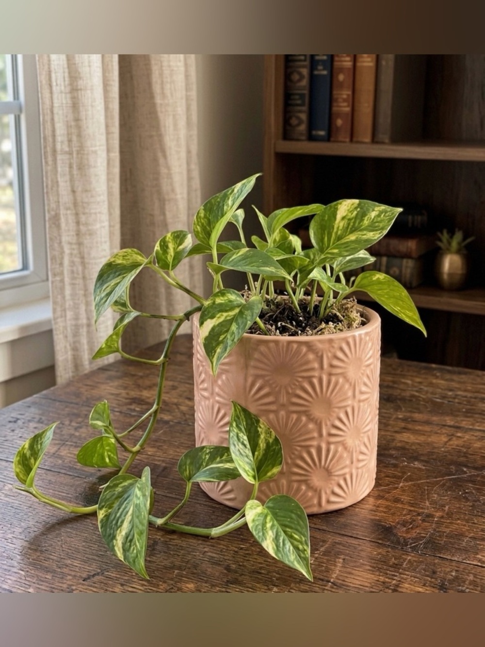 Pink Ceramic Barrel Planter - 6 Inch Handcrafted Textured Indoor Outdoor Planter